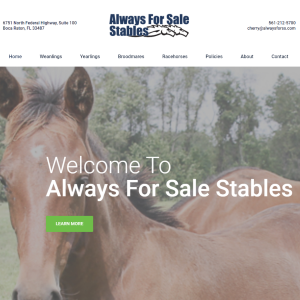 Always For Sale Stables