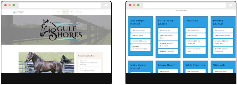 web design websites computer repair hanover pa 17331
