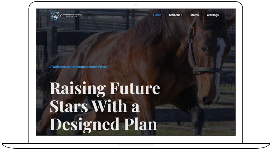 web design websites computer repair hanover pa 17331