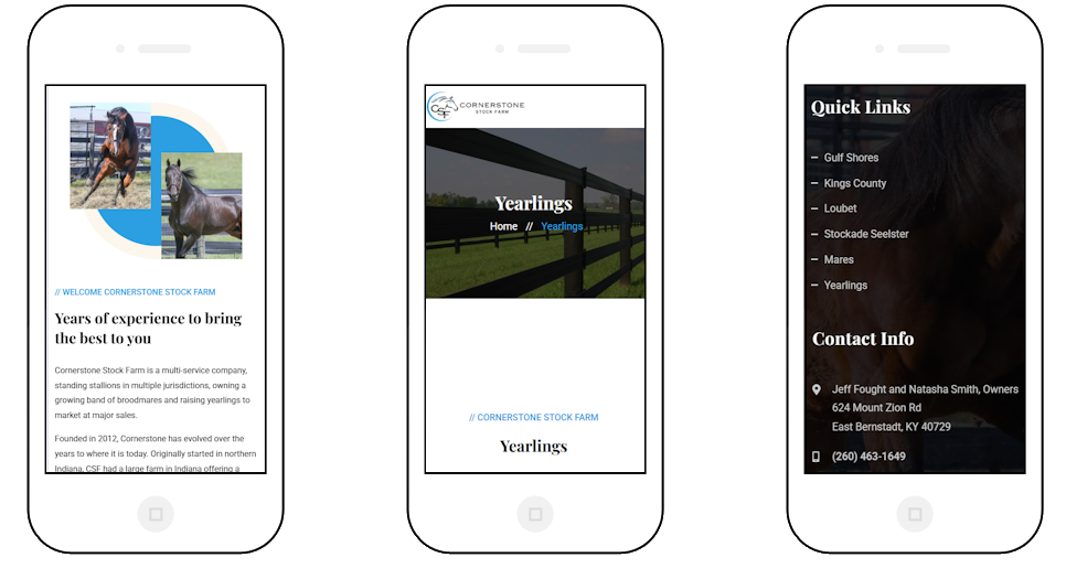 web design websites computer repair hanover pa 17331